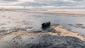 Километры мазутной жижи на черноморском побережье. Последствия аварии в Керченском проливе