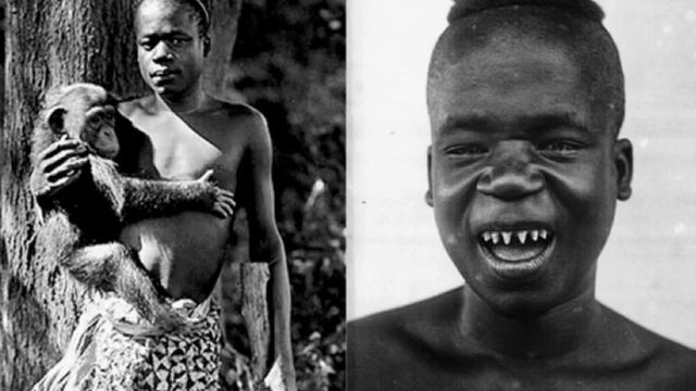 Обман и фальсификации эволюции: Лживые комментарии эволюционистов касательно археологических находо смотреть онлайн