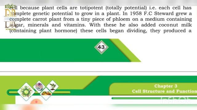 XI. BIOLOGY. CH# 01.02.03 & 04. PD.F OVERVIEW. SINDH TEXT BOOK BOARD 2022-2023 смотреть онлайн