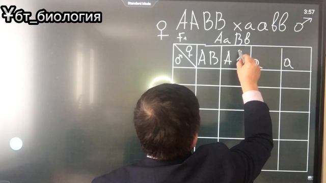 Дигибридті будандастыру “Белгілердің тәуелсіз ажырау”заңы смотреть онлайн