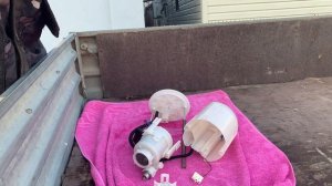 Замена бензонасоса своими руками Mitsubishi Outlander 3. 2.0