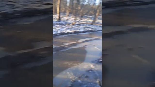 Водитель УАЗа сам решает где ехать смотреть онлайн