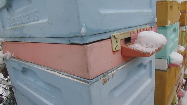 улей без осмотров, как пчелы сами себе вентиляцию на зиму сделали 26.12.2024 смотреть онлайн