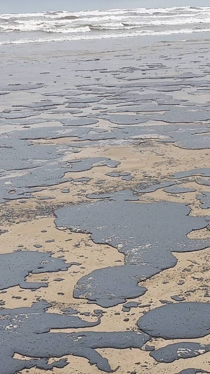 Заставьте их работать! смотреть онлайн