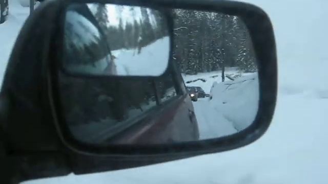 Лесная дорогаClub-Forester.ru смотреть онлайн