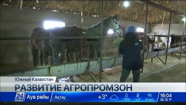Фермеры ЮКО оценили преимущества развития кооперации смотреть онлайн