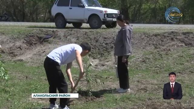 В Алакольском районе было посажено более 500-сот деревьев смотреть онлайн