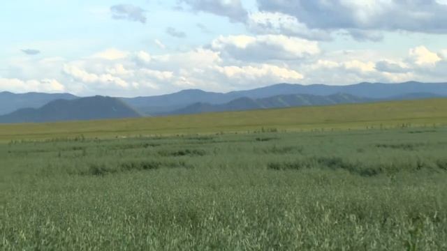 Русская дорога. (И. Растеряев) смотреть онлайн