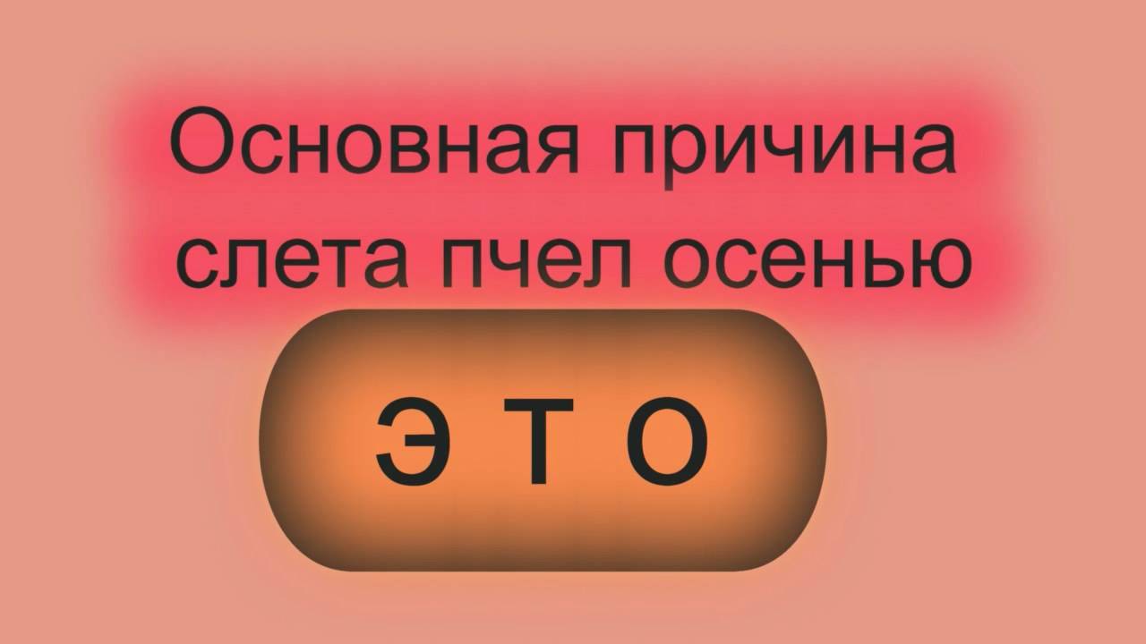 Основная причина осеннего слета пчел смотреть онлайн