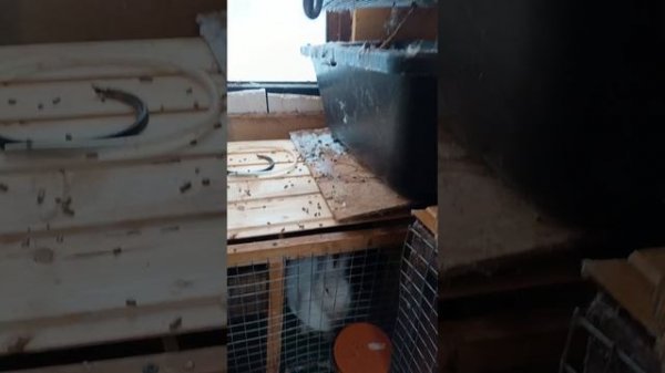 Ответы на вопросы . И маленький обзор .