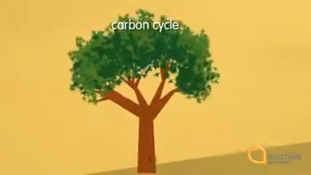 Series 1 12 Carbon Cycle смотреть онлайн