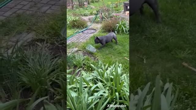 Финик струхнул..