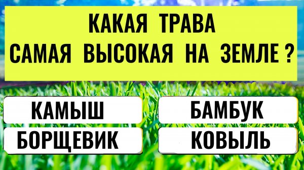 Эрудит или не Эрудит Проверьте Свои Знания!