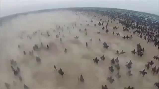 Кыргызстан кок бору смотреть онлайн