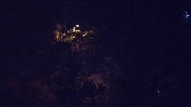 ЗАПОРОЖЬЕ ПРОПАЛИ С УТРА НЕ МОГУТ НАЙТИ 25.09.23 смотреть онлайн