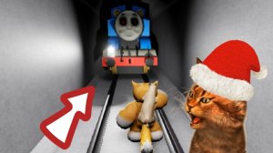 ЭТОТ СУМАСШЕДШИЙ ТОМАС EXE ПЫТАЕТСЯ СБИТЬ МЕНЯ В РОБЛОКС