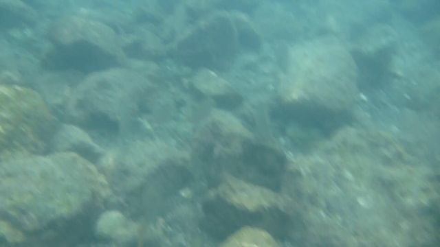 Купание в океане у отеля Alborada Beach Club 3* Тенерифе