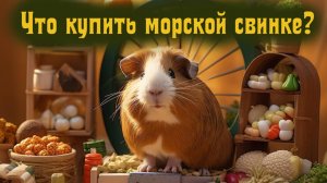 Что нужно приобрести перед покупкой морской свинки? Полный список для начинающих!