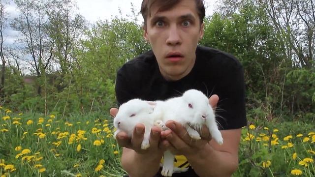 Как угомонить задрота #3 смотреть онлайн