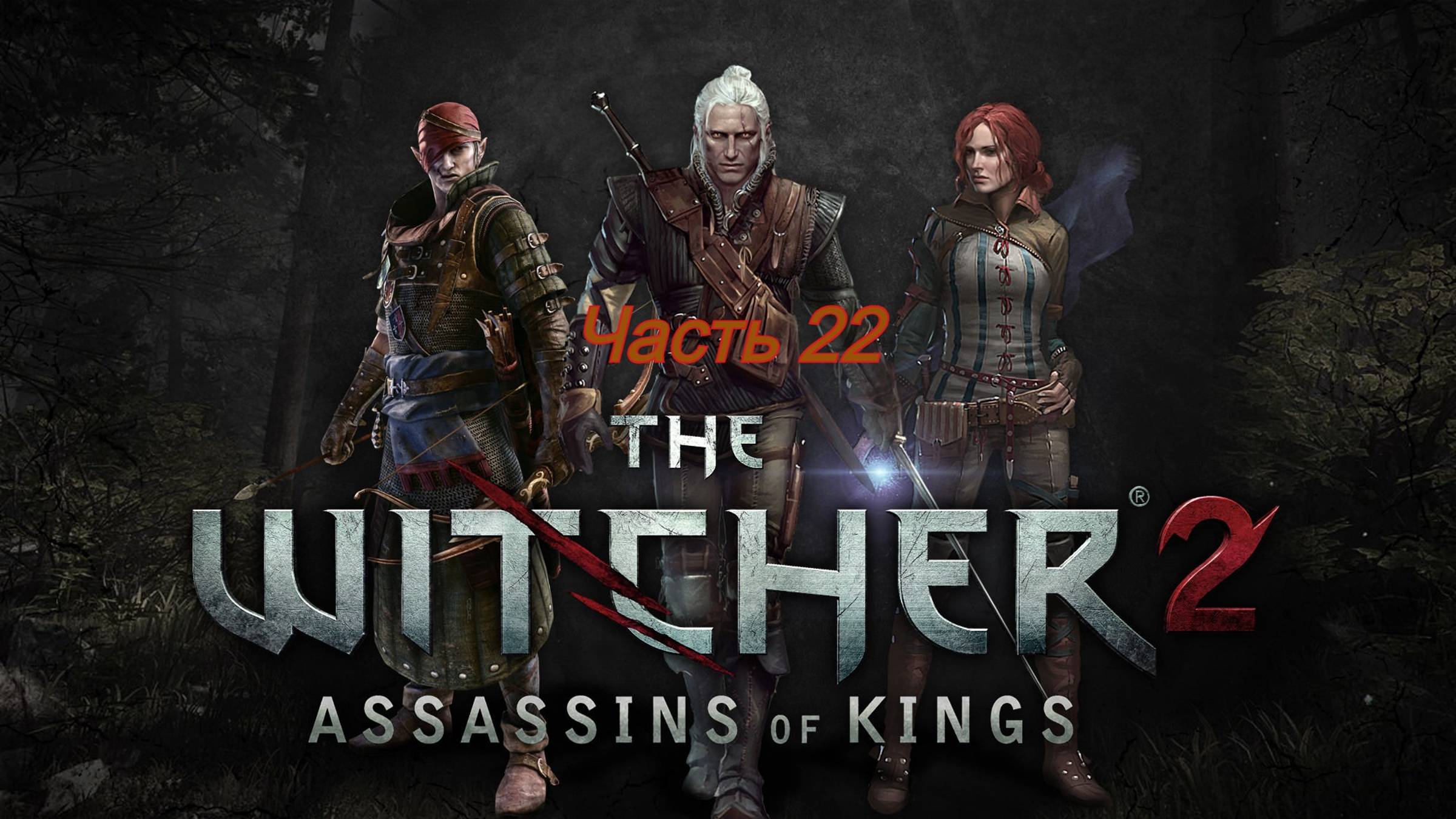 The Witcher 2 Assassins Of Kings Enhanced Edition ФИНАЛ первый и последний бой Часть 22 смотреть онлайн