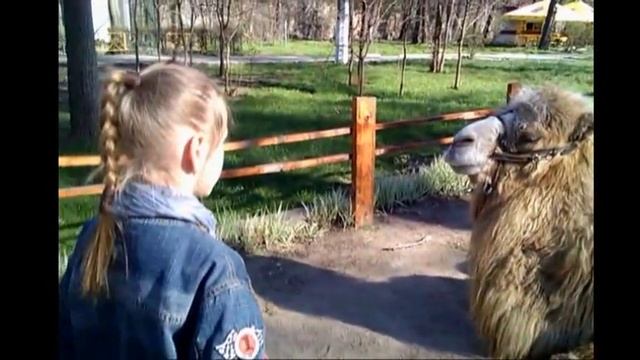 ZOO 2014 march ODESSA UKRAINA смотреть онлайн