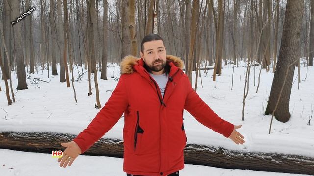 Никогда не заставляй себя