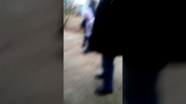 П эл прсеар уф р смотреть онлайн