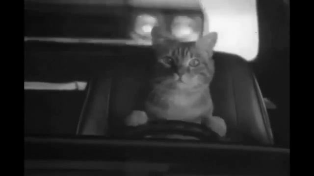 Песня На машине! Песни Моря смотреть онлайн