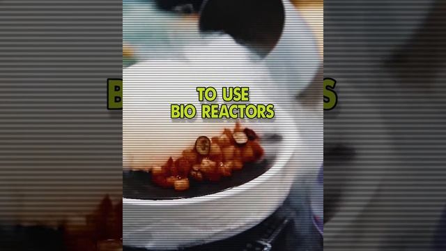 Clean Science Series: Part 7/ Web Series - feat. Ingvild Syntropia смотреть онлайн