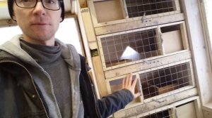 Обустройство и устройство голубятни