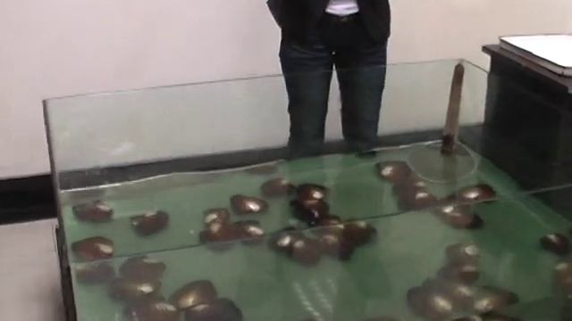 Китайский фарфор ,резьба по камню и дереву .Производство жемчуга.Китай.