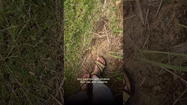 Мощная медитация #духовность #пробуждение #просветление #медитация смотреть онлайн