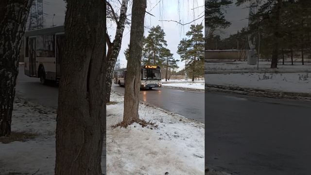 Миниролик #1579 н974ко на 34 #лиаз #автобус