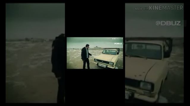 Телеграм приколлари смотреть онлайн