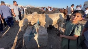 ХОРАЗМ МОЛ БОЗОРИ 12-ИЮН 2022-ЙИЛ ЯНГИ НАРХЛАР КАНДАЙ ? САВДО ЗУ́Р БУГУН ХОРАЗМ БОЗОР