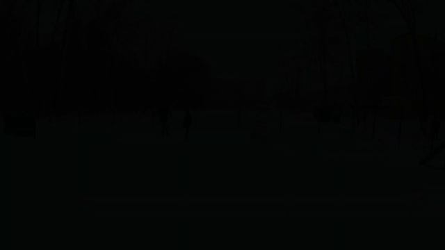 Рэд или один день из жизни Большой Пиренейской собаки :) смотреть онлайн