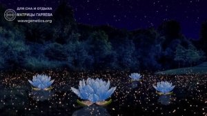 Матрица Гаряева*Для Отдыха и Сна