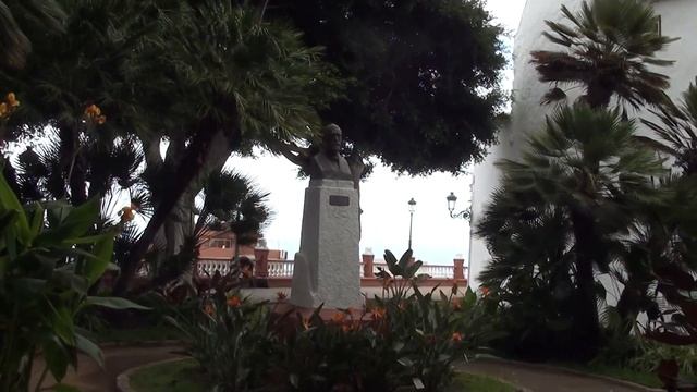 Драконовое дерево- символ Тенерифе