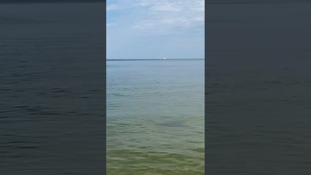 Холодное Балтийское море в июле #переездвкалининград смотреть онлайн