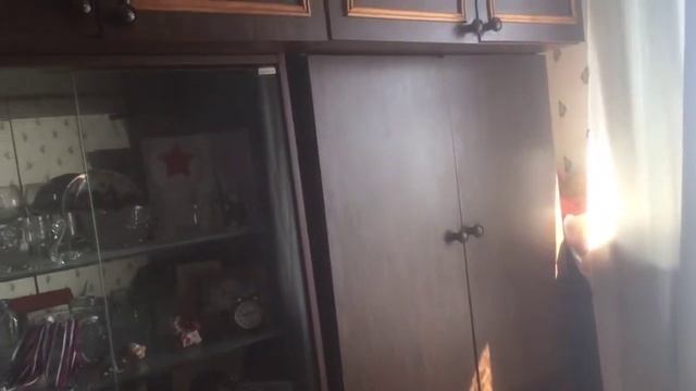 Моё домашнее животное смотреть онлайн