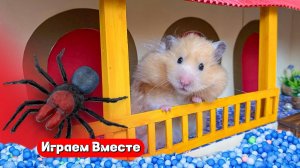 Хомяк выбирается из дома с ловушками и ПАУКАМИ 🕷️🐹🕷️ Видео для детей