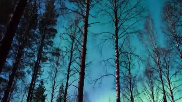 Футаж для видеомонтажа северное сияние лес смотреть онлайн