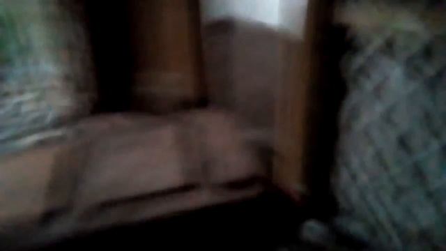 СТАЛК:ВЫЗВАЛИ МЕНТОВ! смотреть онлайн