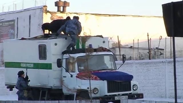 Захват автозака смотреть онлайн