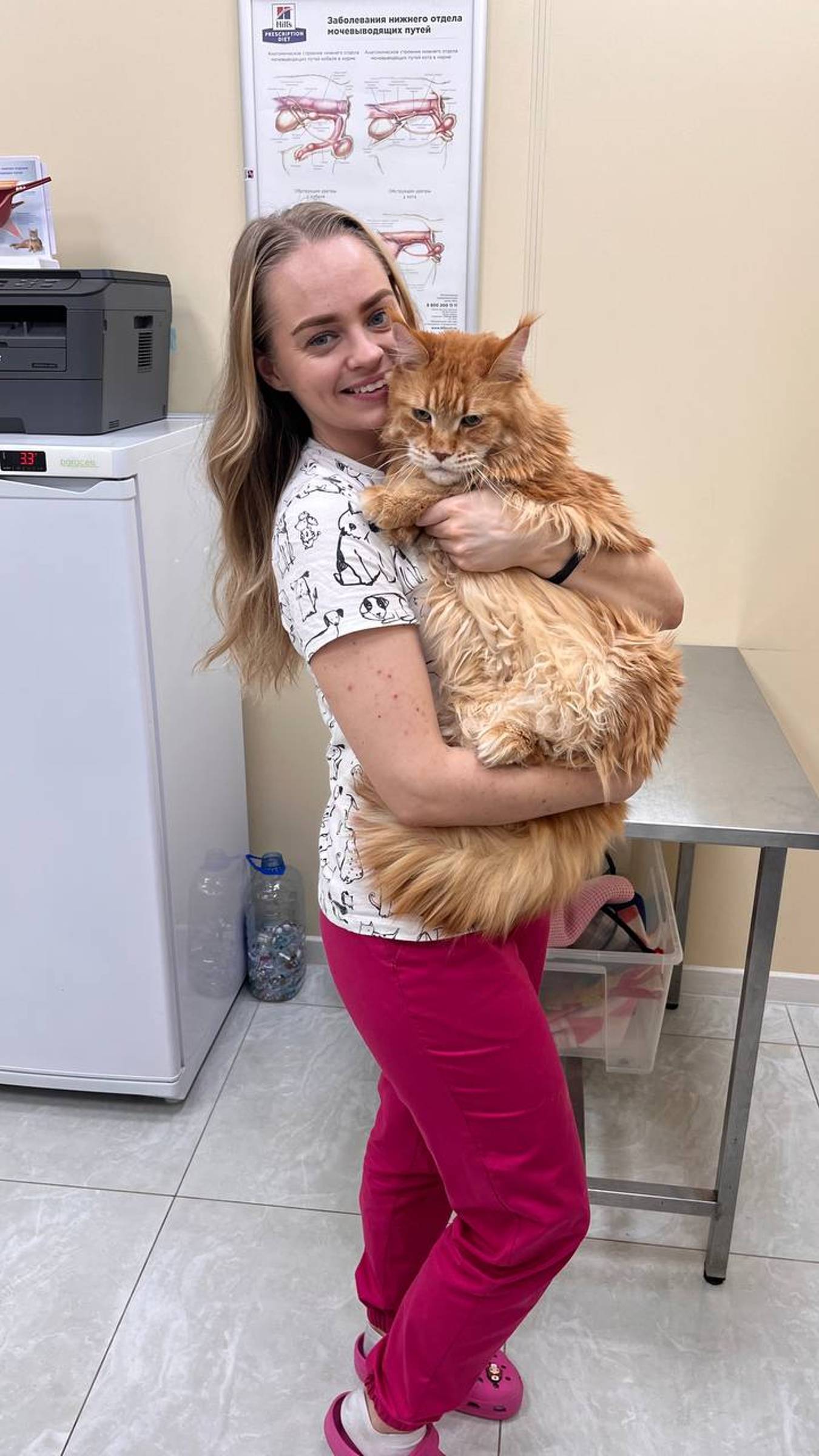 Стационар в ветеринарной клинике смотреть онлайн