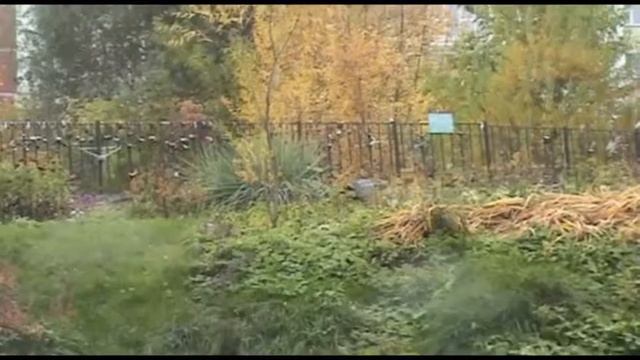 Анита разойдись! смотреть онлайн