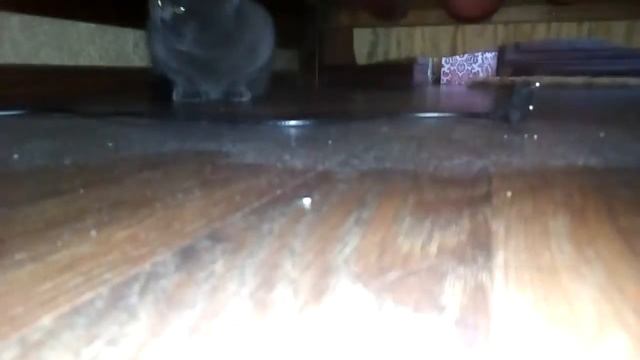 моя кошка мышка часть 11 смотреть онлайн