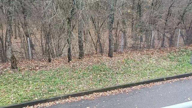 Тропикана парк Отель