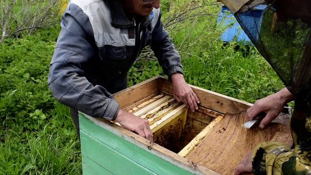 Облегчённый скафандр для работы со среднерусской пчелой. смотреть онлайн