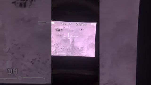 Тепловизор TG3825!